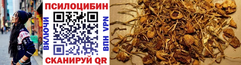 Галлюциногенные грибы GOLDEN TEACHER  Меленки 
